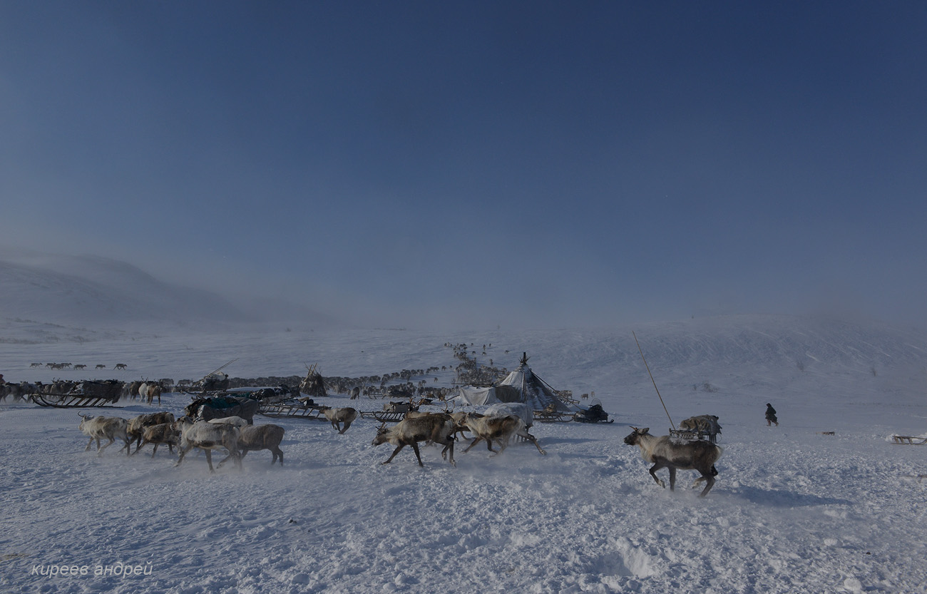 Yamal (Ямал)
